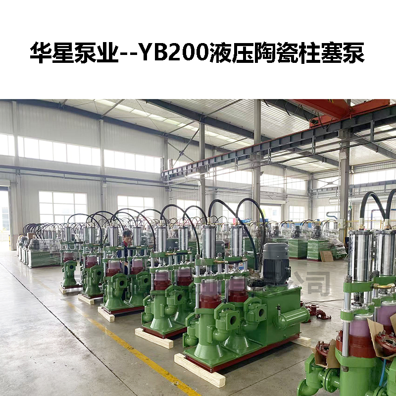ybh200-19污泥壓濾機(jī)專用柱塞泵